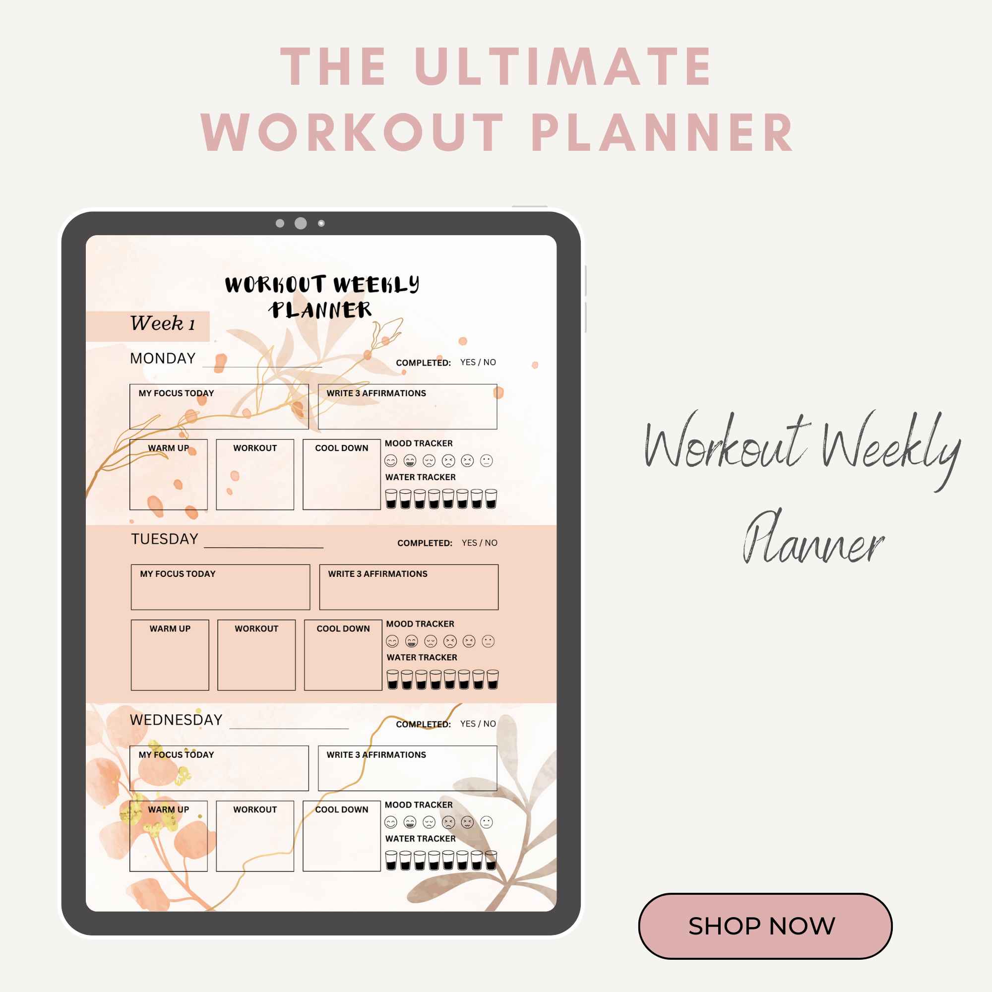 Fitness Planner